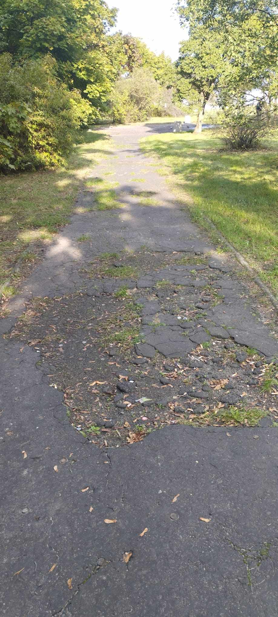 Likwidujmy miejskie wyspy ciepła - Twórzmy przyblokowe zielone oazy